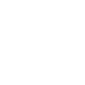 Link Icon